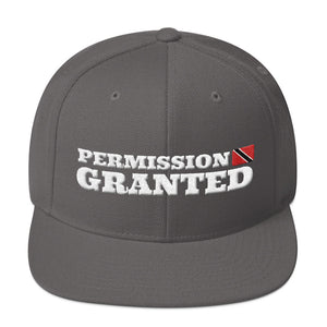 Permission Granted Snapback Hat